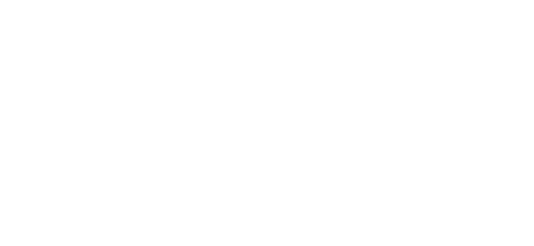 Vedik Systems